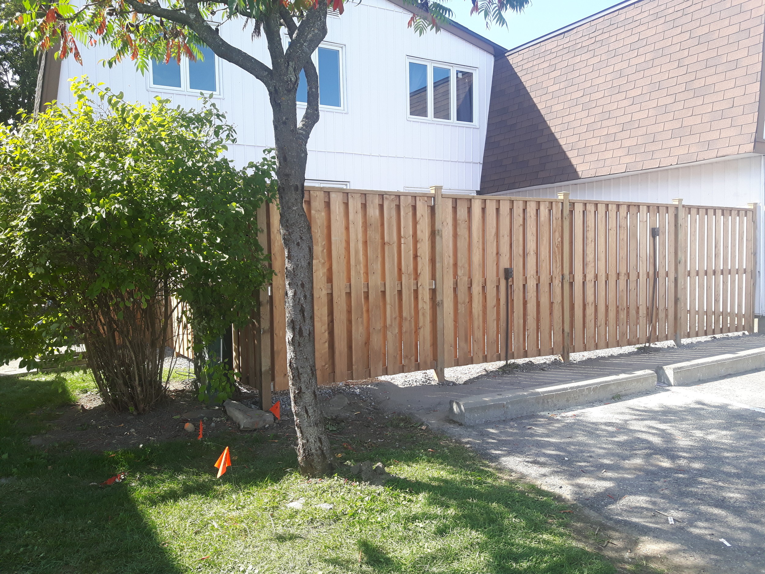 Pressure-treated wood privacy fence by Williamsburg Woods and Garden, Eastern Ontario