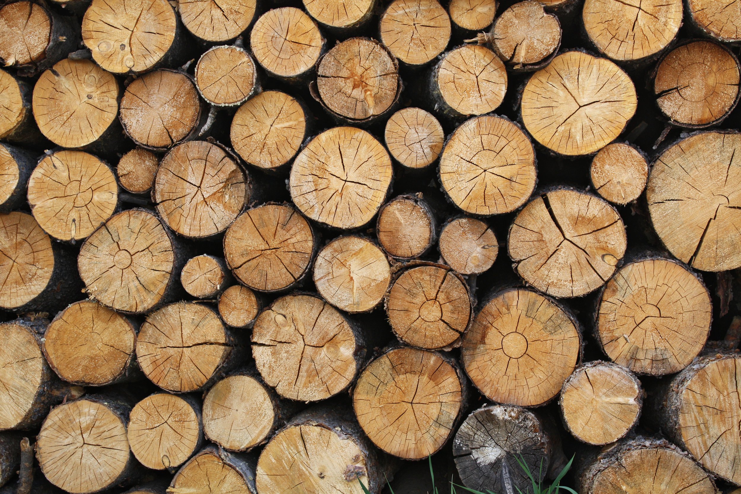 Eastern White Cedar lumber mill at Williamsburg Woods and Garden in Williamsburg, Ontario